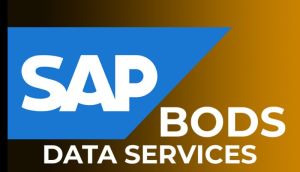 SAP BODS Online Training from India