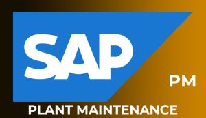 SAP PM Online Training from India