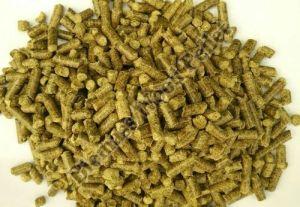 Green Biomass Fuel Pellet