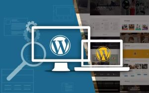 Best WordPress Web Development to grow your Business