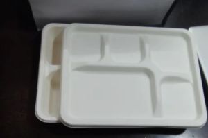 disposable meal tray