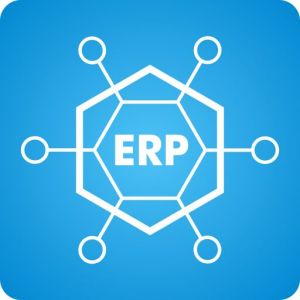 Erp Software Development Service