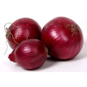 fresh red onion