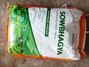 mahindra sowbhagya 10 kg paddy seed