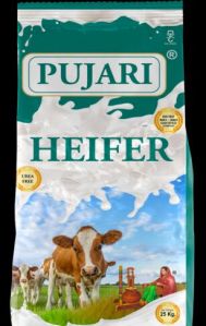 Pujari Feed Heifer