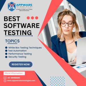 software testing