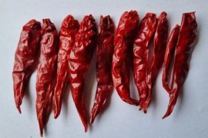 Stemless Fatki Dry Red Chilli