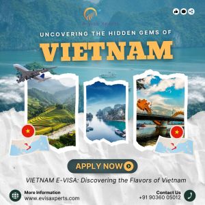 vietnam e-visa service