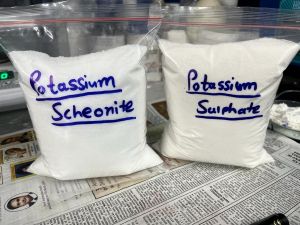 potassium schoenite white powder