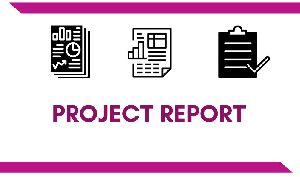 Project Report Services