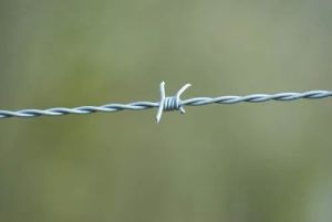 Single Twist Barbed Wire