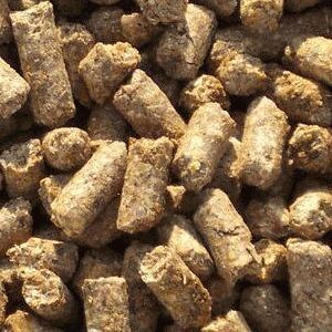 Wheat Bran Pellets