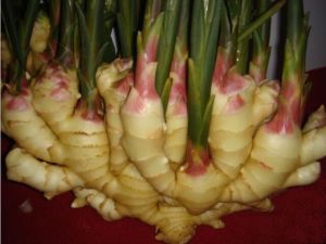 fresh ginger