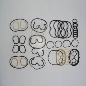 Hydraulic Pump Seal Kit