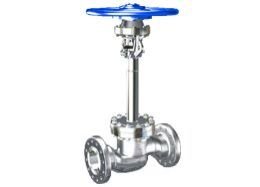 Globe Valve with Extended Bonnet Instead