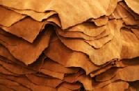 Leather Raw Material