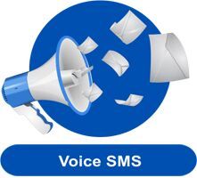 Voice Sms Services