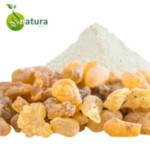 Natura Biotechnol Boswellia Extract Powder