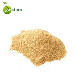 Masala Powder