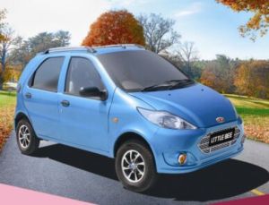Electric Vehicle Little Bee Electric Vehicle Little Bee