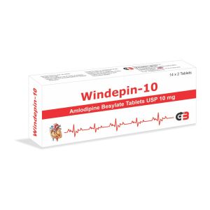 WINDEPIN-10