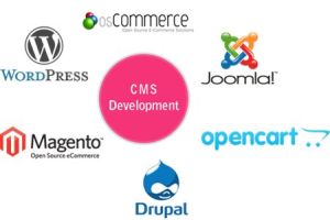 CMS Web Development Service