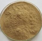 Rumex Crispus Extract