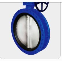 resilient seated butterfly valves