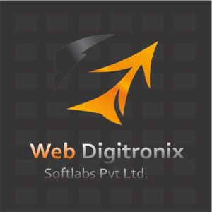 custom web development services