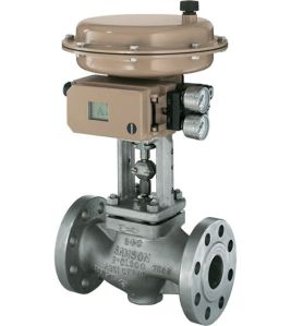 Globe Control Valve