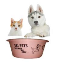 Fashion Stainless Steel Pet Feeder Bowls