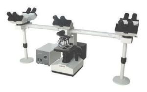 Penta Head Microscope