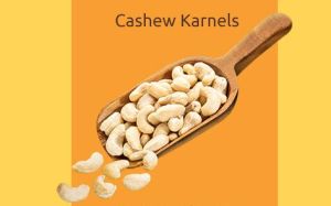 cashew kernels