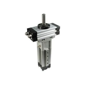 Rotary Cylinder Rack and Pinion Type