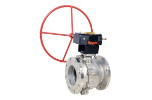 Two Piece Flange End Ball Valves