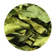 Curry - Leaves