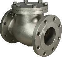 Industrial Check Valves