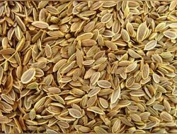 dil seed split