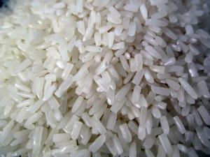 Broken Rice Grain