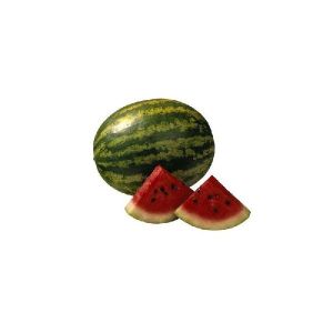 Watermelons Kiran