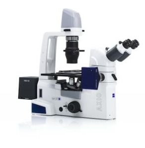 Stereozoom Microscopes