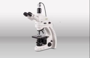 Immuno Fluorescence Microscope