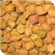 Desi Chickpeas