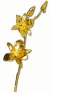 24kt Gold Plated Natural Orchid