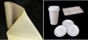 Biodegradable Polymer Coated Paper