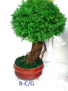 artificial bonsai