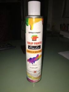 Touch Up Spray Paint
