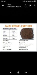 Palm Kernel Expeller
