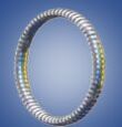 Helical Spring Energized Seals