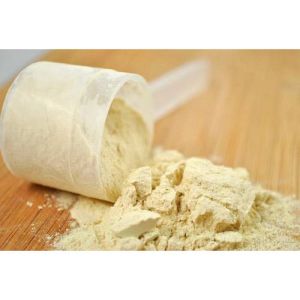 10% Whey Protein Concentrate Powder